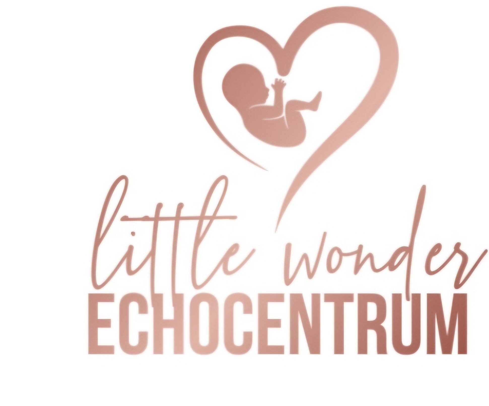Little Wonder Echocentrum